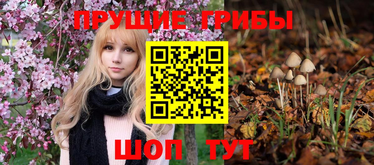 ГАШ  НБОМе  Советск  Вход с VPN  Конопля  МЕФ  