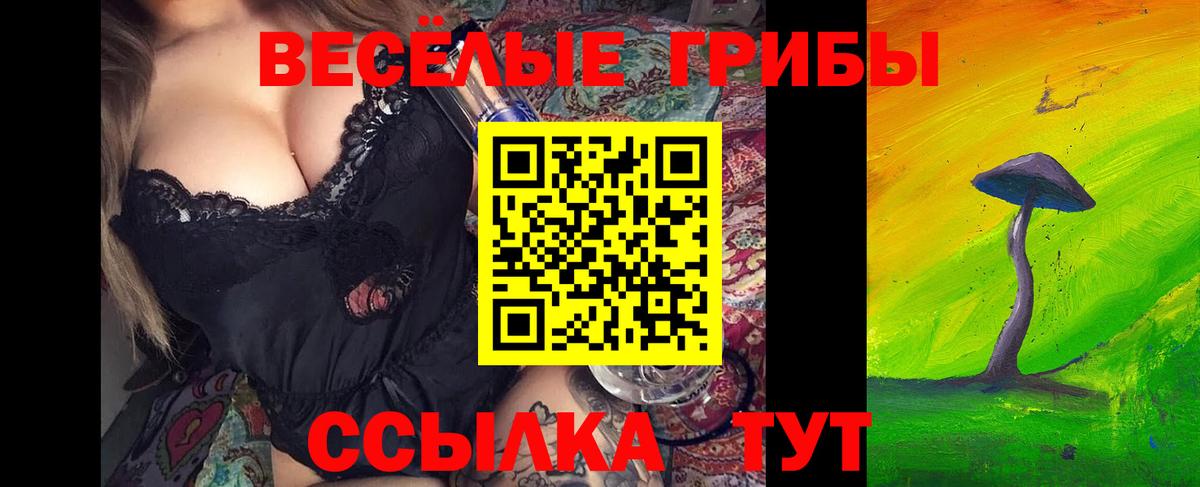 Галлюциногенные грибы GOLDEN TEACHER  продажа наркотиков  Советск  Вход с VPN 